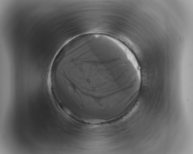 X0000100920892200807221113