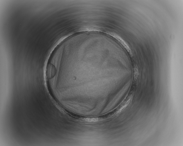 X0000100920893200807221113