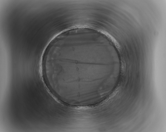 X0000100920894200807221113