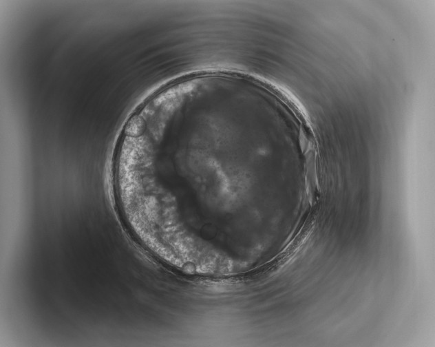 X0000100920895200807221113