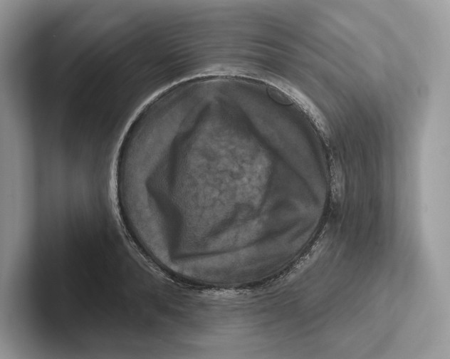 X0000100920896200807221113