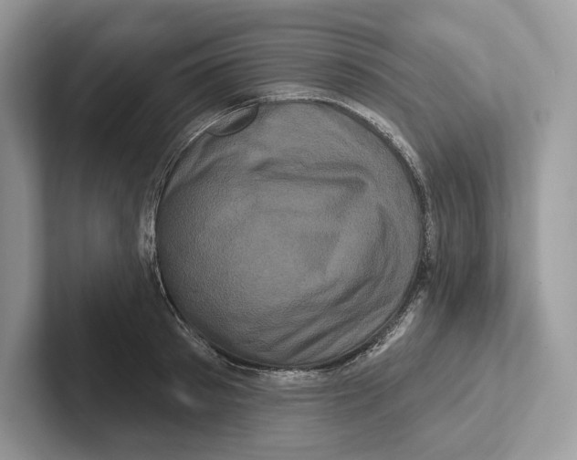 X0000100920897200807221113