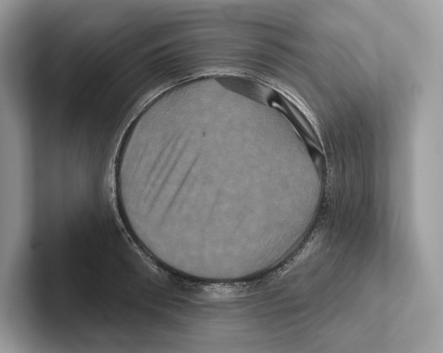 X0000100920898200807221113