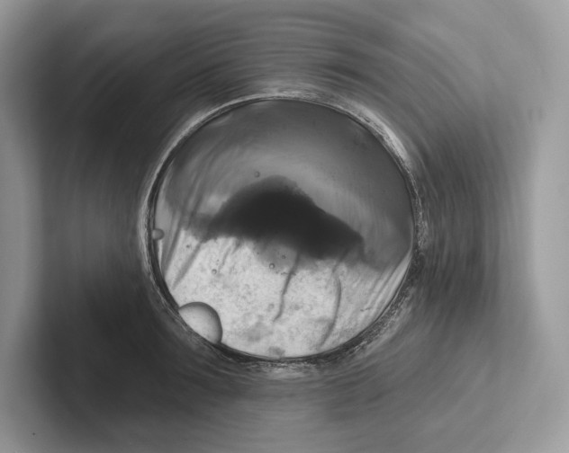 X0000100920899200807221113