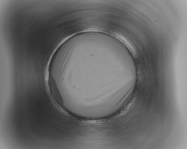 X0000100920900200807221113