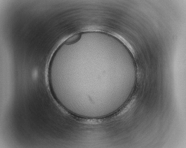 X0000100920901200807221113