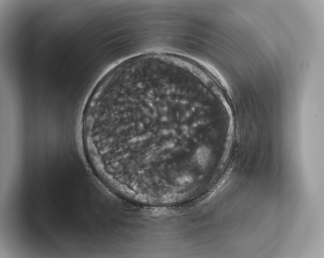X0000100920903200807221113
