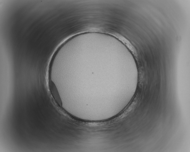 X0000100920904200807221113