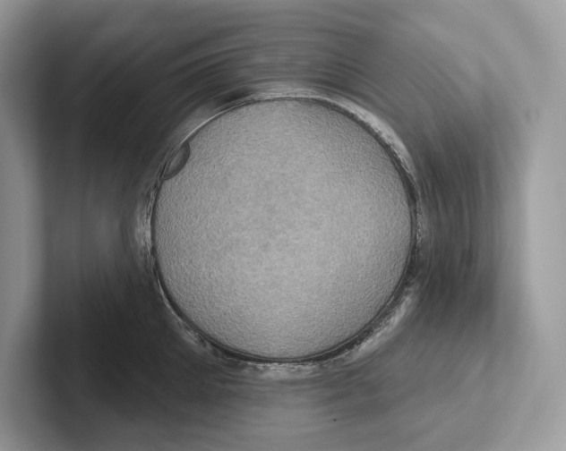 X0000100920905200807221113