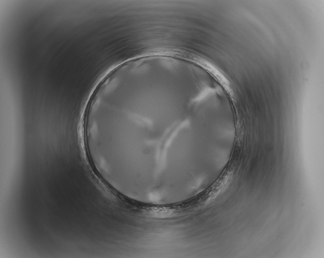 X0000100920907200807221113
