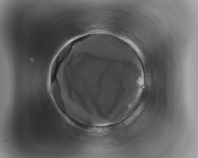 X0000100920910200807221113
