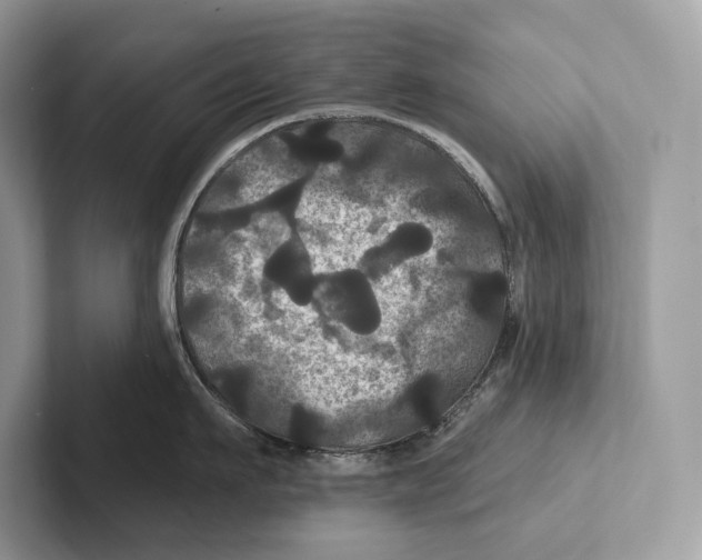 X0000100920911200807221113