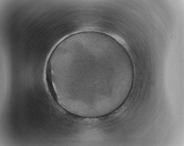 X0000100920912200807221113
