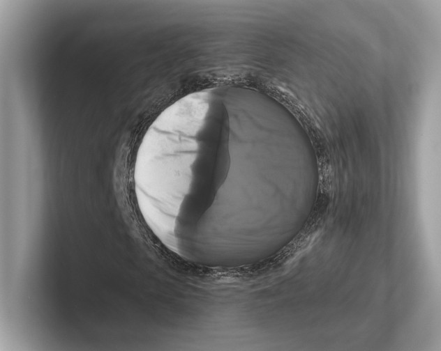 X0000100920913200807221112