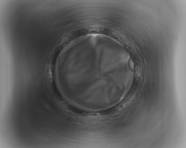 X0000100920916200807221112