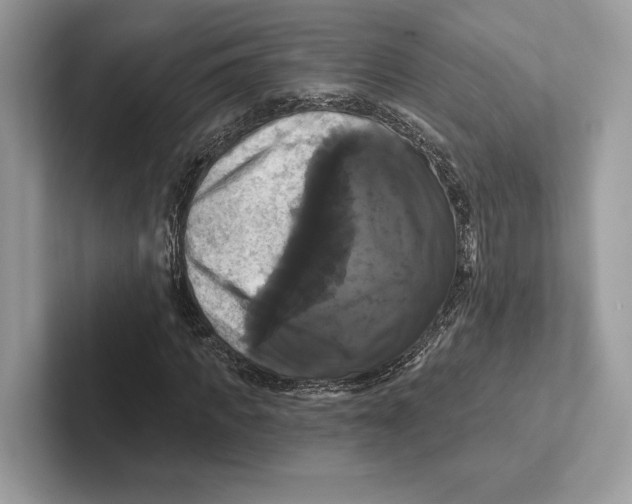 X0000100920917200807221112