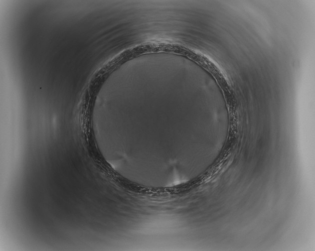 X0000100920919200807221112