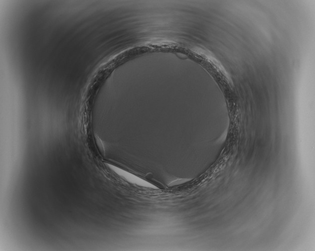 X0000100920920200807221112