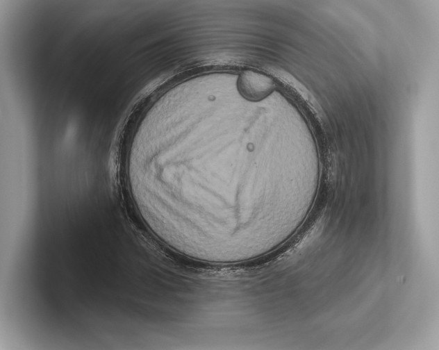 X0000100920922200807221112