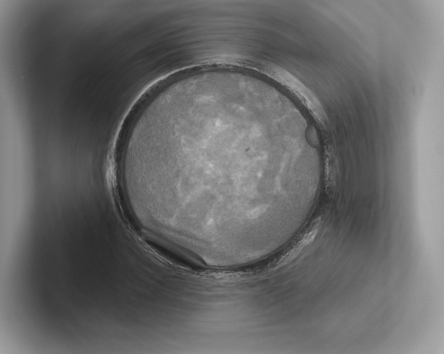 X0000100920924200807221112
