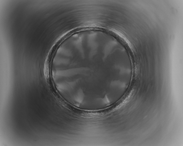 X0000100920925200807221112