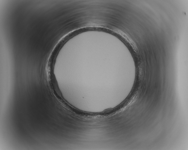 X0000100920926200807221112
