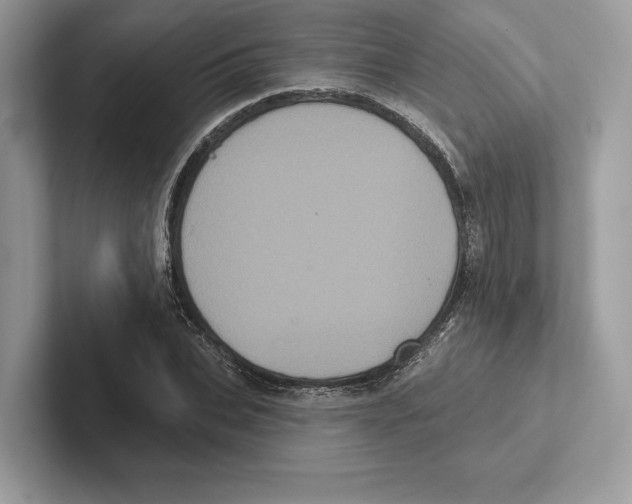 X0000100920927200807221112