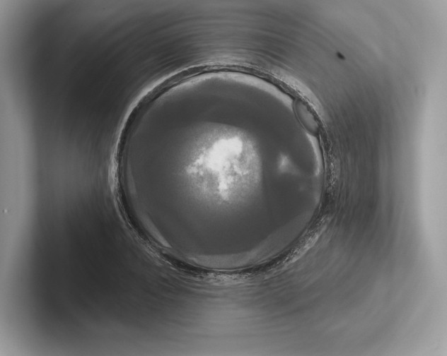 X0000100920928200807221112