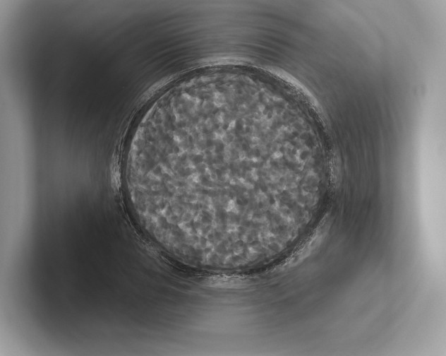 X0000100920929200807221112