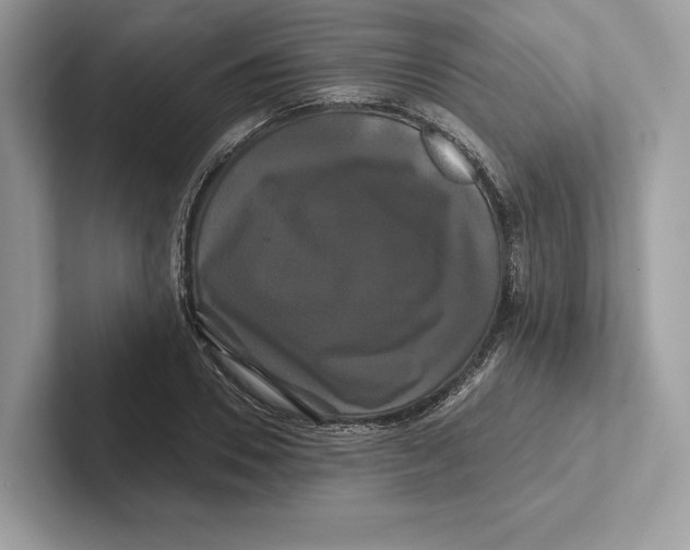 X0000100920930200807221113