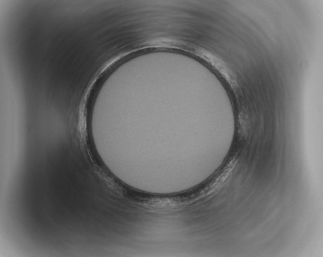X0000100920931200807221113