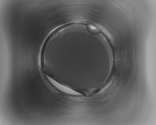 X0000100920932200807221113