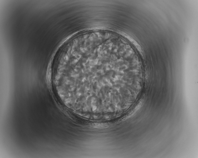 X0000100920933200807221113