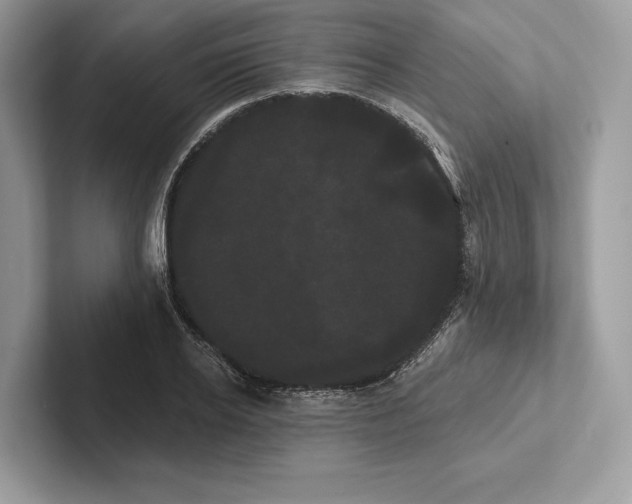 X0000100920934200807221113