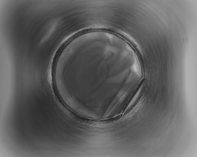 X0000100920935200807221113