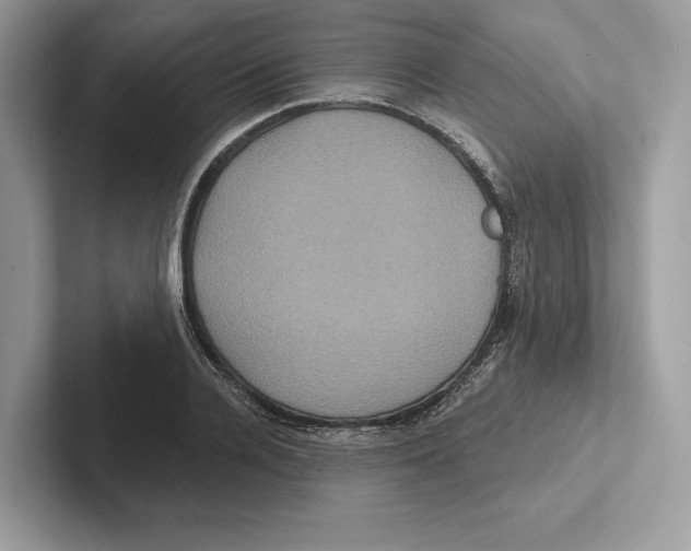 X0000100920936200807221113