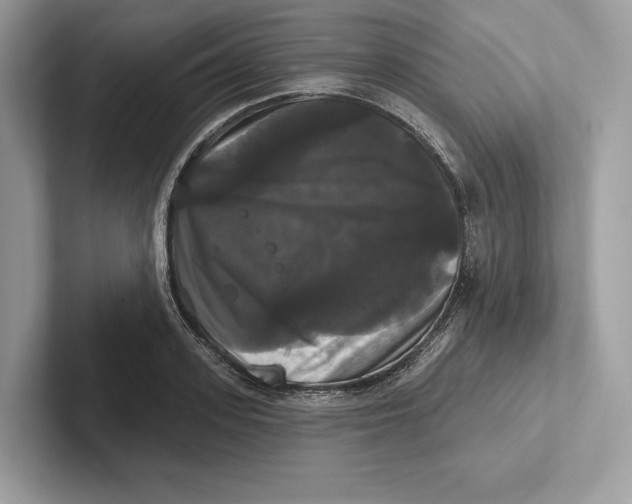 X0000100920939200807221113