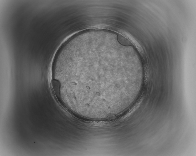 X0000100920940200807221113
