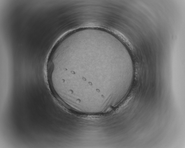 X0000100920942200807221113