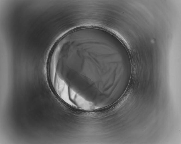X0000100920943200807221113