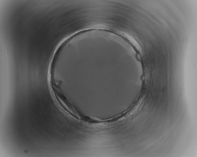 X0000100920944200807221113