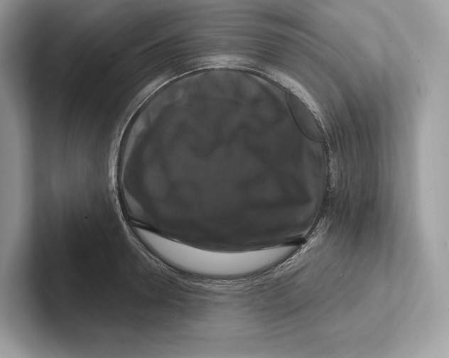 X0000100920946200807221113