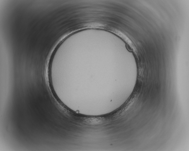 X0000100920947200807221113