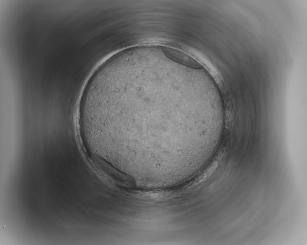 X0000100920948200807221113