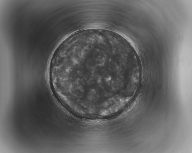X0000100920949200807221113
