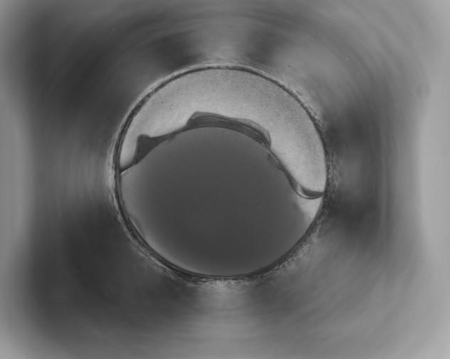 X0000100920950200807221113