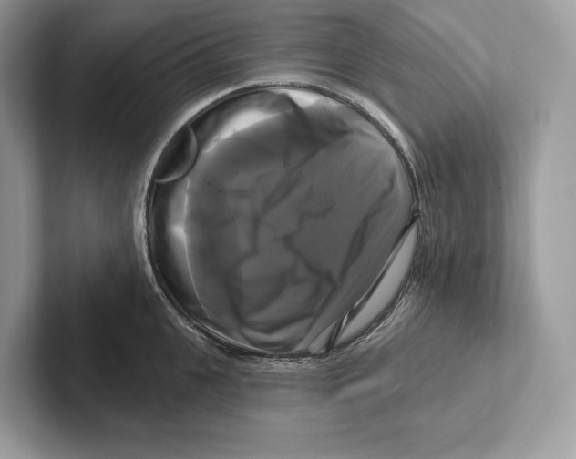 X0000100920951200807221113