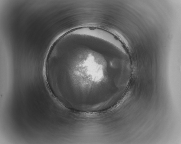 X0000100920952200807221113