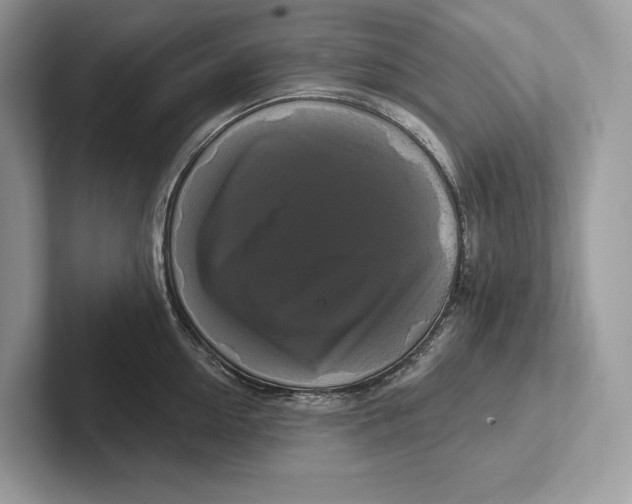 X0000100920954200807221113