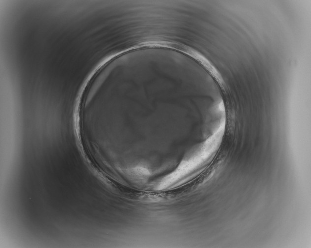 X0000100920955200807221113
